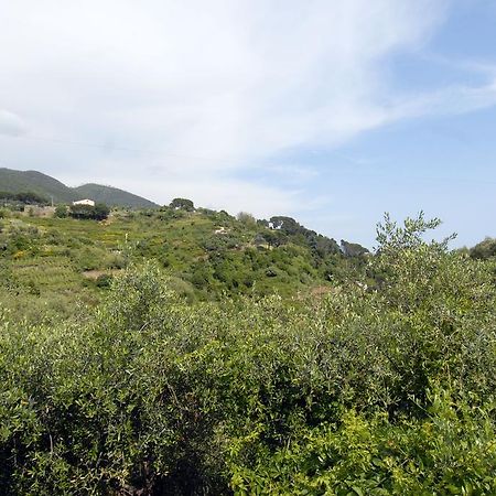 Villa Caribe Affittacamere Monterosso al Mare Exterior photo